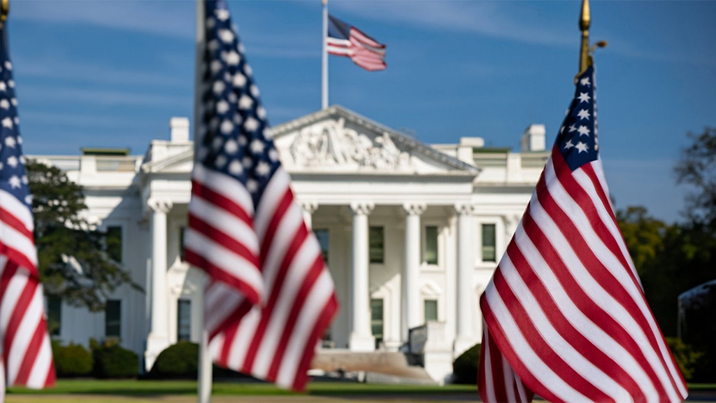 American Flags in Foreground with the White House in the Background